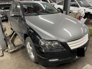 写真 2025-01-08 19 39 11