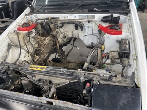 写真 2025-01-07 12 58 50