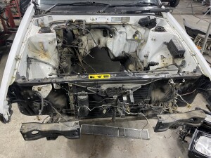 写真 2025-01-07 18 00 33