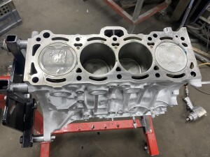 写真 2025-03-11 18 27 31