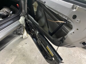 写真 2025-03-13 19 07 55