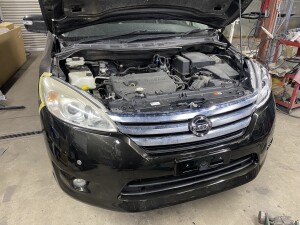 写真 2025-03-13 21 17 01