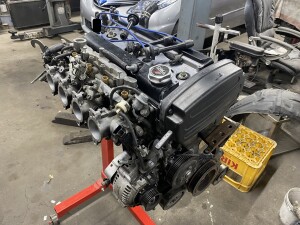 写真 2025-03-13 18 37 19