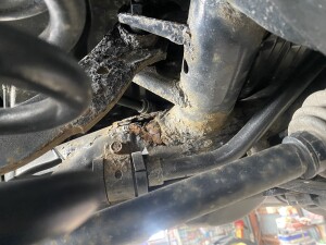 写真 2025-03-04 12 34 56