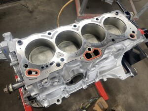 写真 2025-03-12 12 32 06