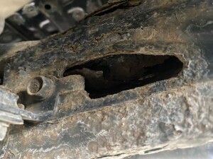 写真 2025-03-04 12 35 15