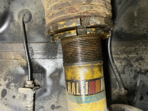 写真 2025-03-03 19 59 13