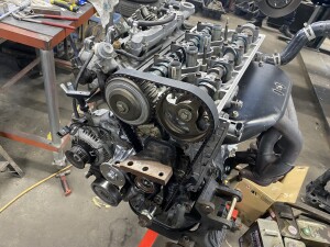 写真 2025-03-13 17 26 35