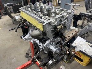 写真 2025-03-12 18 37 24