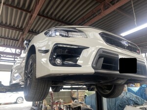 写真 2025-03-12 12 24 35