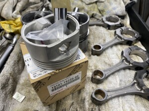 写真 2025-03-11 16 55 08