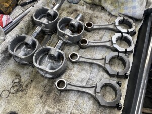 写真 2025-03-11 16 07 55