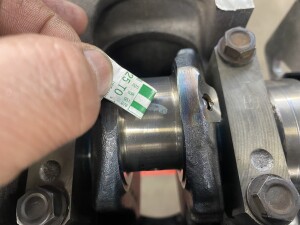 写真 2025-03-11 16 40 04