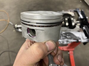 写真 2025-03-11 17 50 07