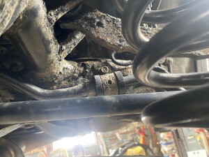 写真 2025-03-04 12 35 01