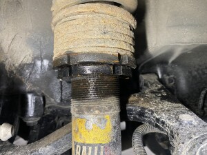 写真 2025-03-03 19 59 06