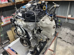 写真 2025-07-03 19 20 24