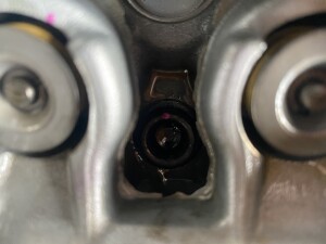 写真 2025-06-30 16 02 23