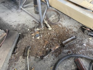 写真 2025-07-24 16 11 35