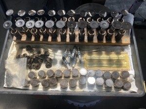 写真 2025-07-12 14 43 37