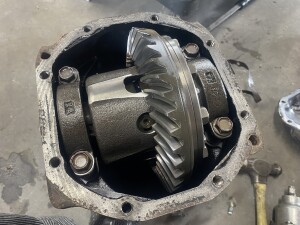 写真 2025-07-18 13 34 39