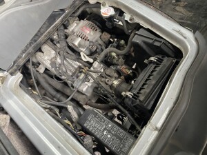 写真 2025-07-26 12 05 53