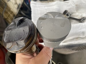 写真 2025-06-30 11 04 28