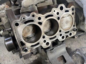 写真 2025-07-22 17 48 03