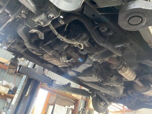 写真 2025-07-14 12 20 57