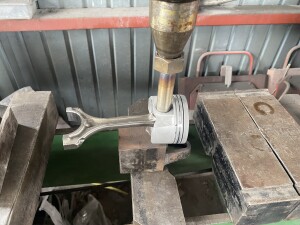 写真 2025-06-30 11 02 50