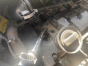 写真 2025-07-10 16 30 46