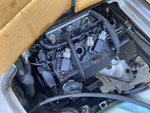 写真 2025-07-11 11 48 08