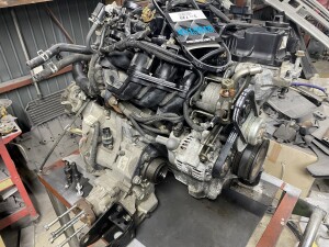 写真 2025-07-03 19 20 32