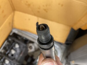 写真 2025-07-11 11 48 17