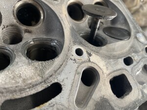 写真 2025-07-24 15 03 16