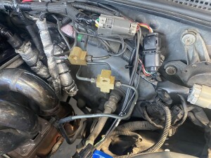 写真 2025-08-15 11 10 13