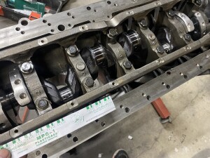 写真 2025-08-19 20 18 31