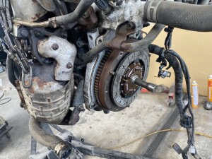 写真 2025-08-11 13 31 00