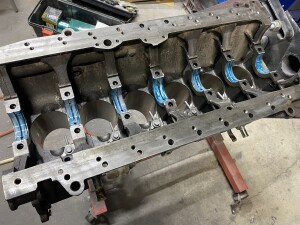 写真 2025-08-19 19 39 11