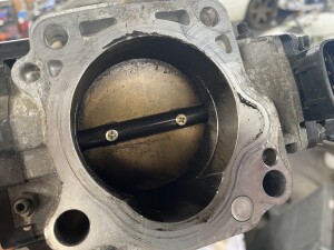 写真 2025-08-19 11 58 14