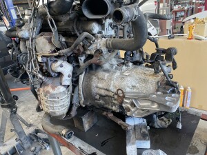 写真 2025-08-11 14 35 37