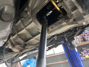 写真 2025-08-01 17 08 41