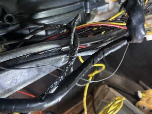 写真 2025-08-19 16 42 04