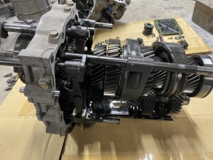 写真 2025-08-22 18 47 52