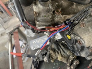 写真 2025-08-11 15 08 32