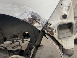 写真 2025-09-02 10 56 35