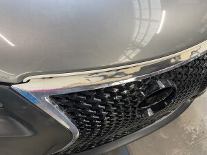 写真 2025-09-02 16 57 31