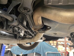 写真 2025-09-01 11 09 19