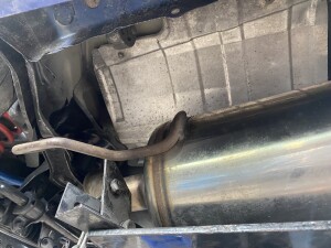 写真 2025-09-01 11 08 56