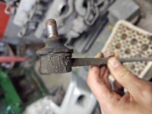 写真 2025-11-18 19 15 20 (1)